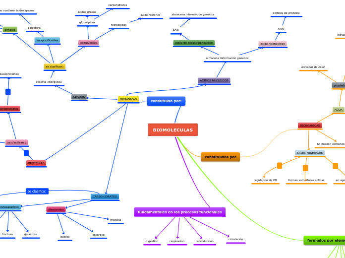 Biomoleculas Mind Map